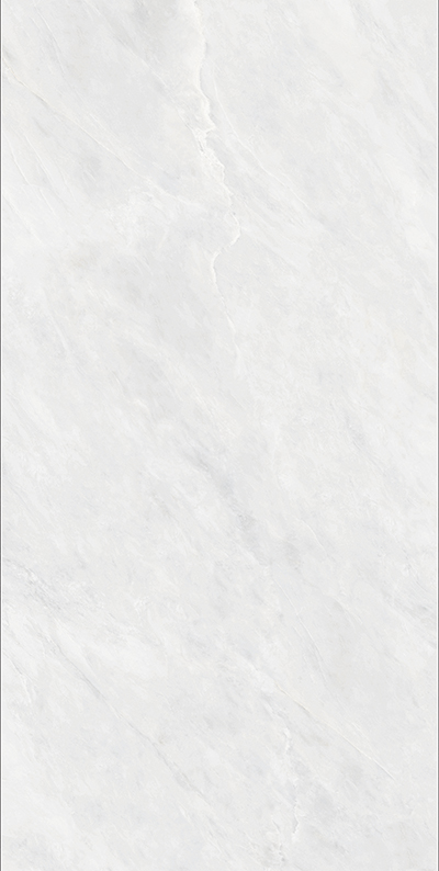 LS612101云灰